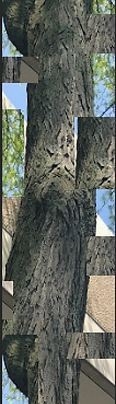 image 3.PNG