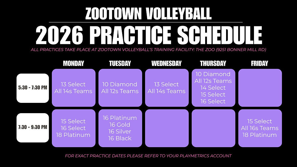zootown volleyball (3).jpg