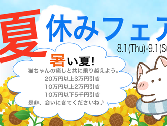 夏休みフェア🌻