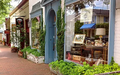 picture of Shaggy Ram Antique Gallery in Middleburg