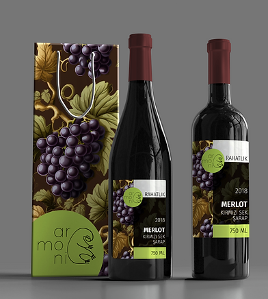 idilkale_mockup2.png