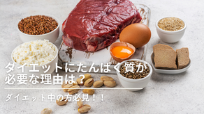 ダイエットにタンパク質が必要な理由とは？