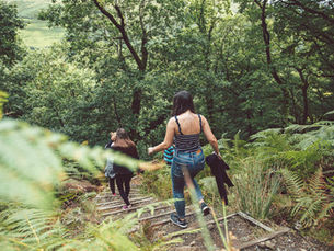 Three people enjoying a scenic countryside walk near Chirk, surrounded by trees and peaceful landscape.