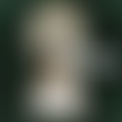 AI-crafted fictional concept by Design Archive Studio