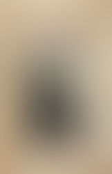 MLJ & Friends Live in Buffalo