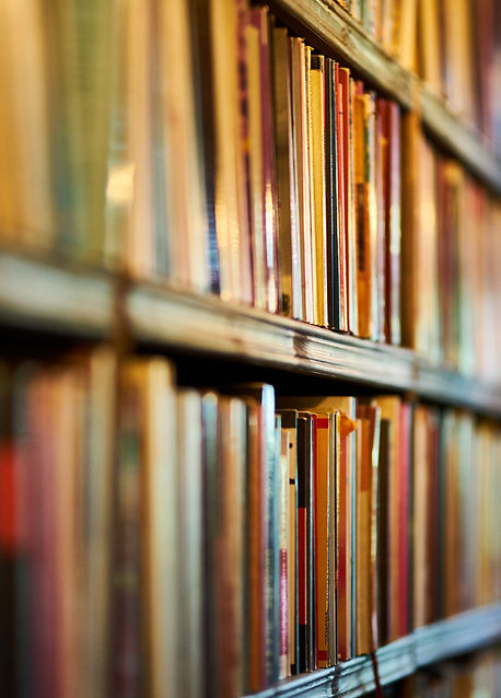 Canva - Selective Focus Photography of B