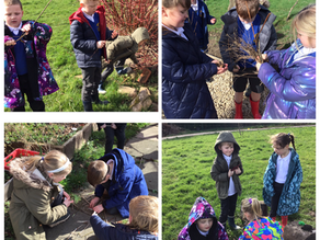 Year 2: Spring 1- Week 3