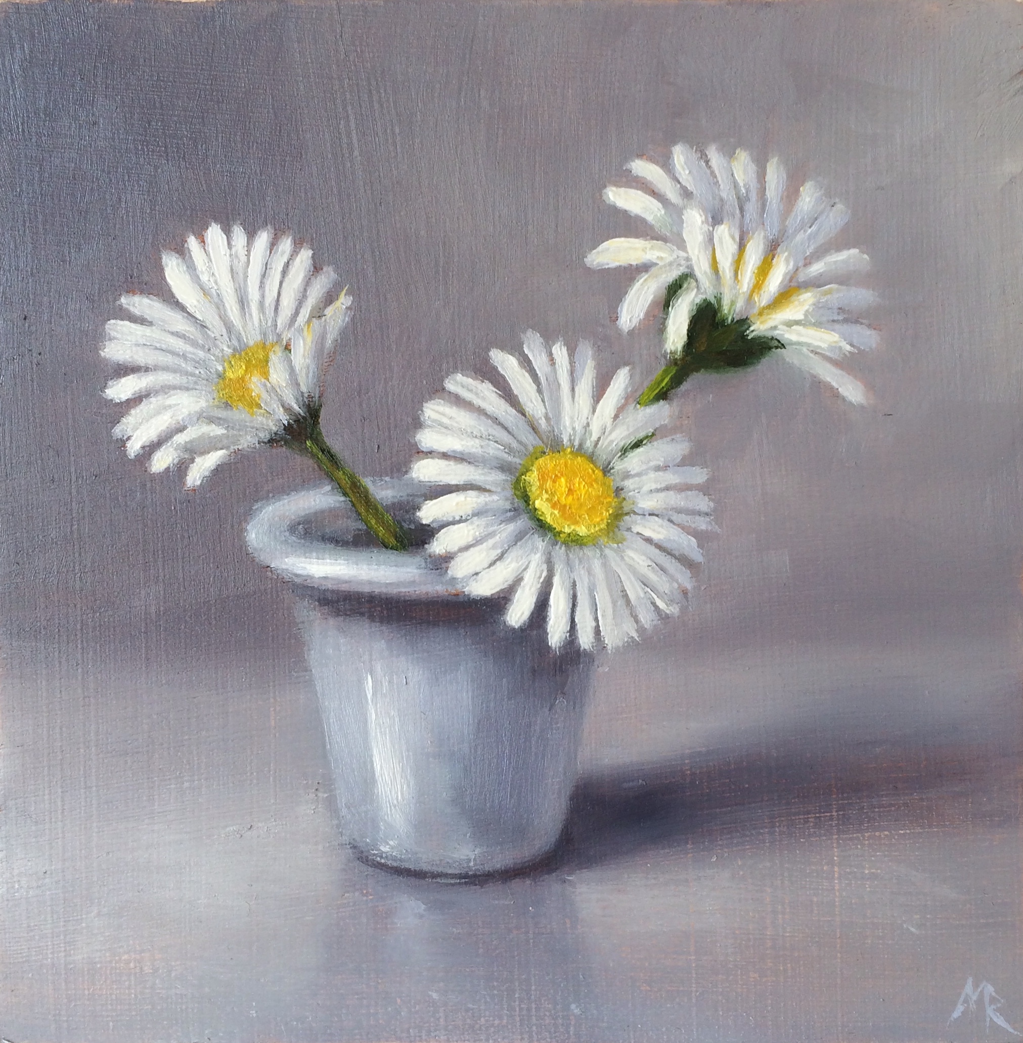 Daisies