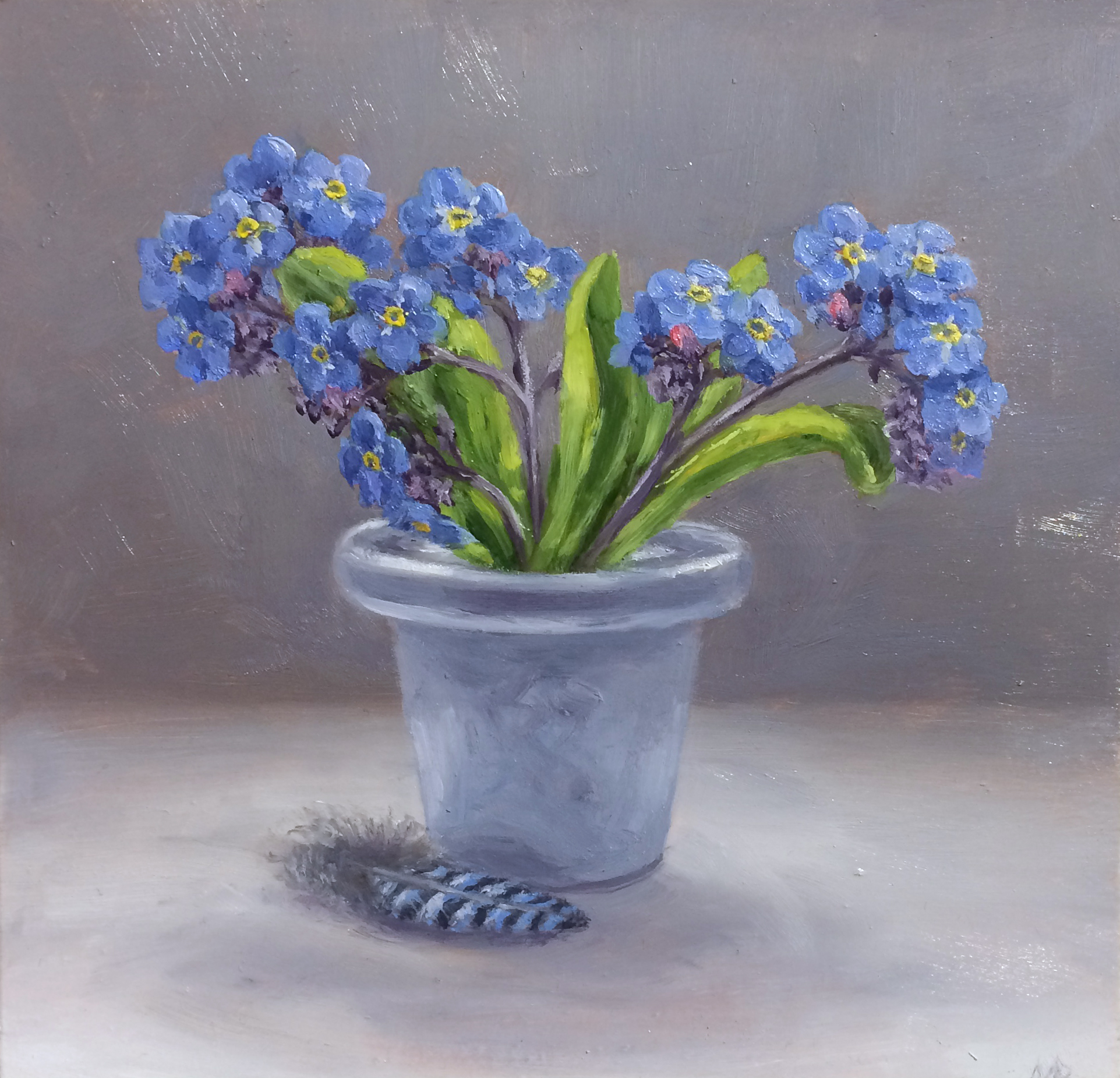 Forget Me Nots