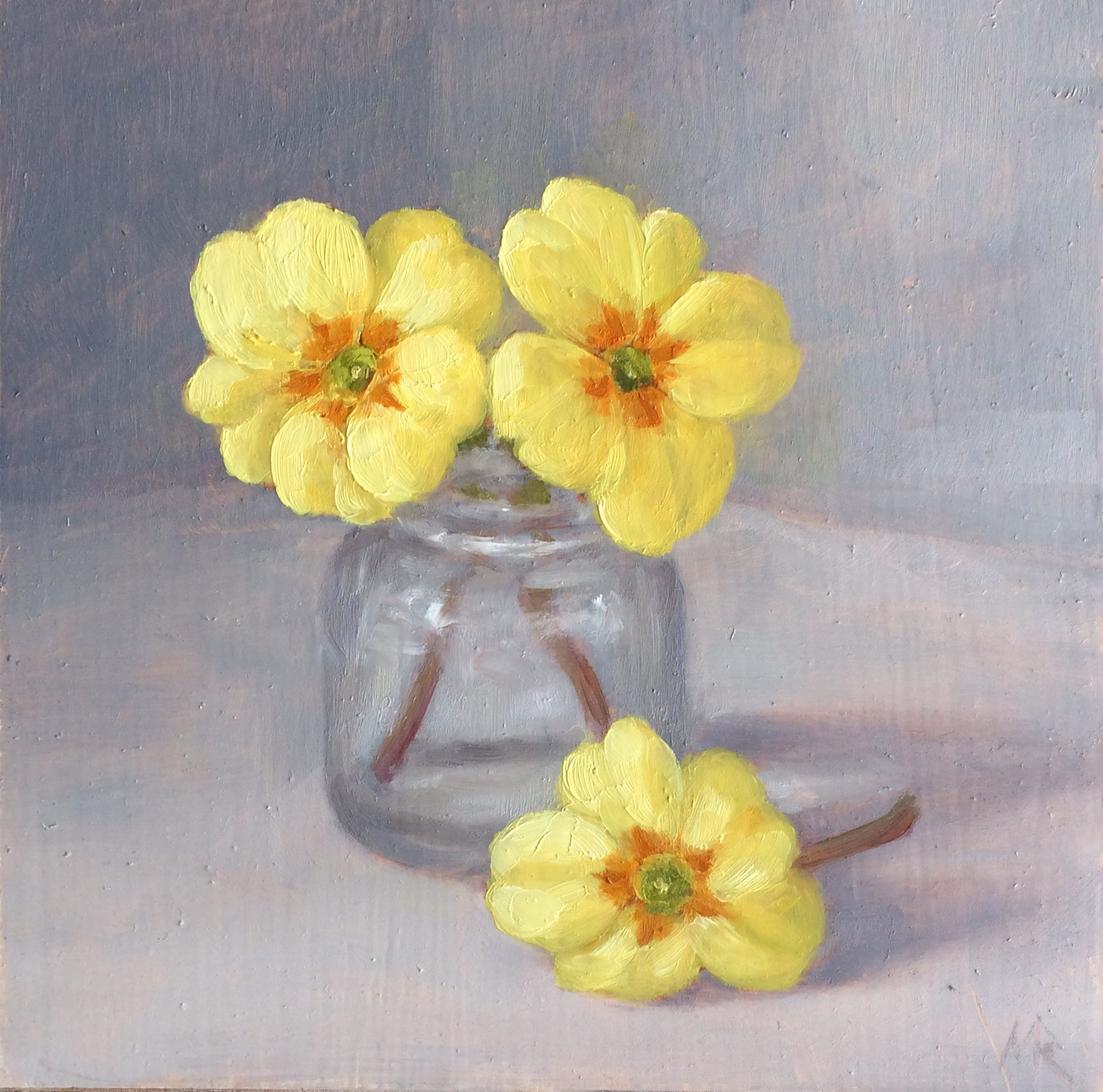 Primroses