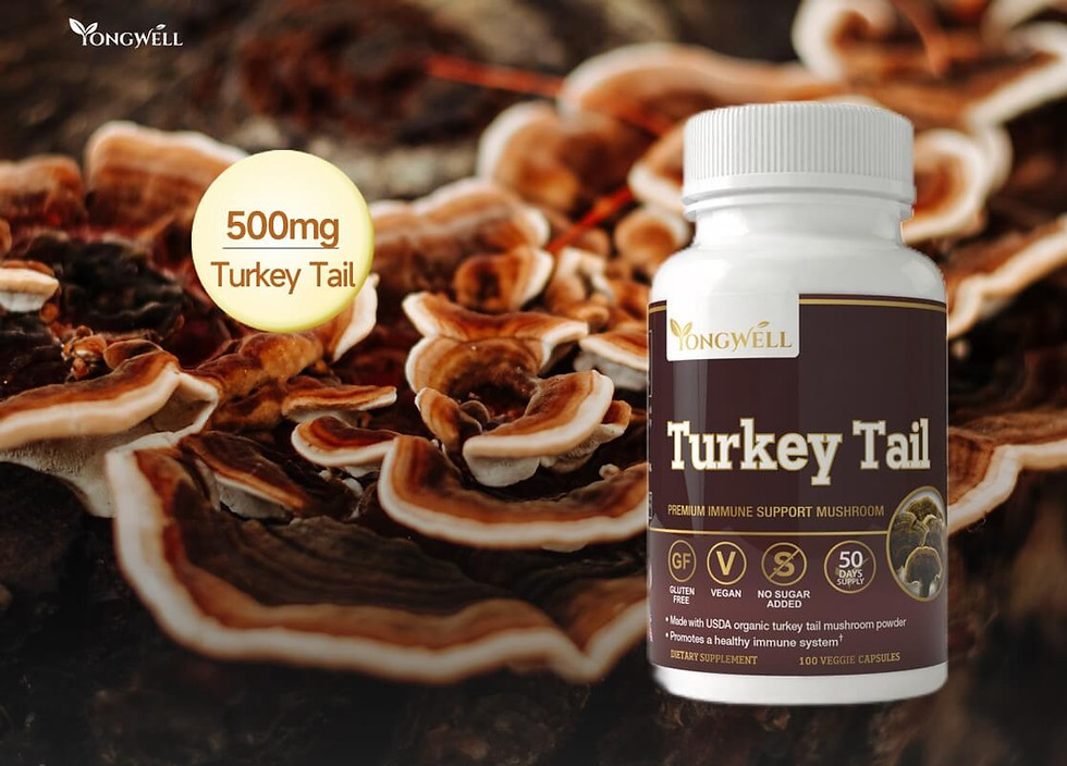 Turkey Tail, Premium Immune Support Mushroom (100 Veggie Capsules)