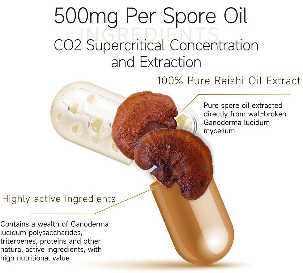 Reishi Spore Oil Shell Broken Extra Strength 500mg (60 Softgels)