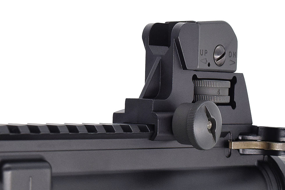 サムネイル： M4 SOPMOD B.R.S.S.