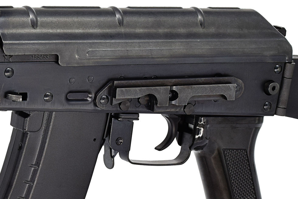 サムネイル： AK74MN B.R.S.S. HAMMER