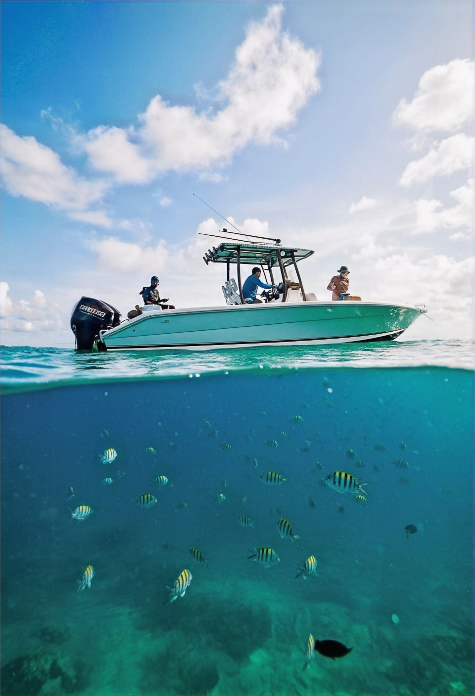 La Beatriz Fishing Trip