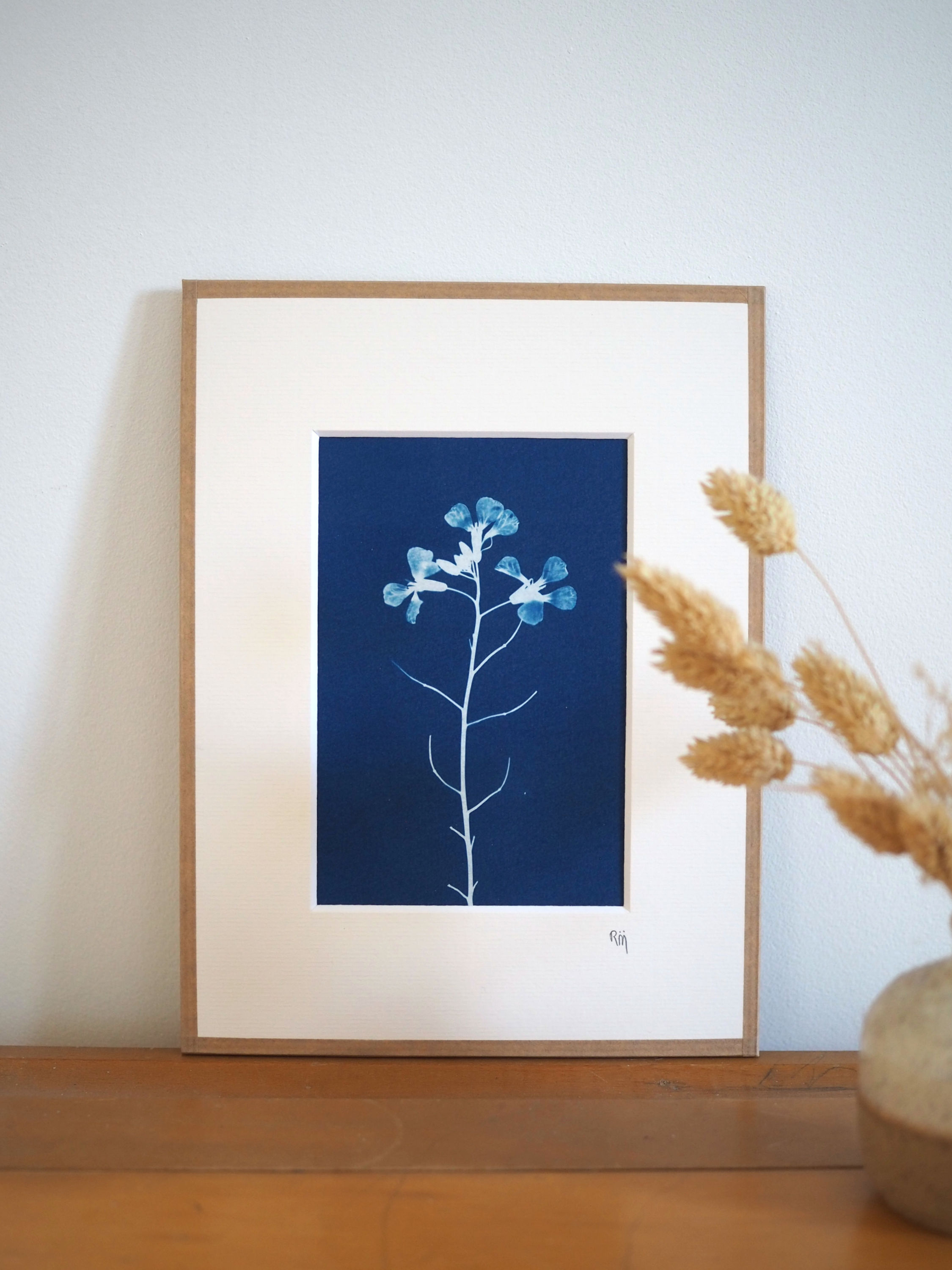 cadre de décoration cyanotype fleur de radis sauvage posé sur meuble