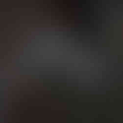 toile d'araignée figée dans la glace