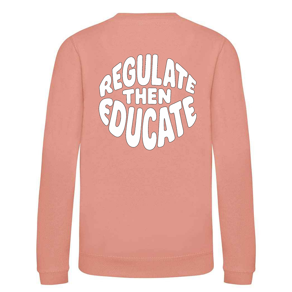 Regulate Then Educate Kids Sweatshirt