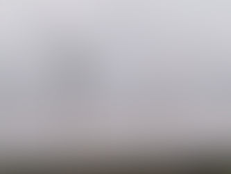 Teilerfolg für den Vogelschutz: Landkreis genehmigt Windflächen in Norden nur eingeschränkt
