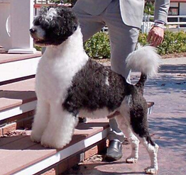 Screenshot_20190920-135640_Gallery_edite