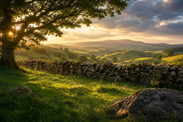 A03 rolling hills.png