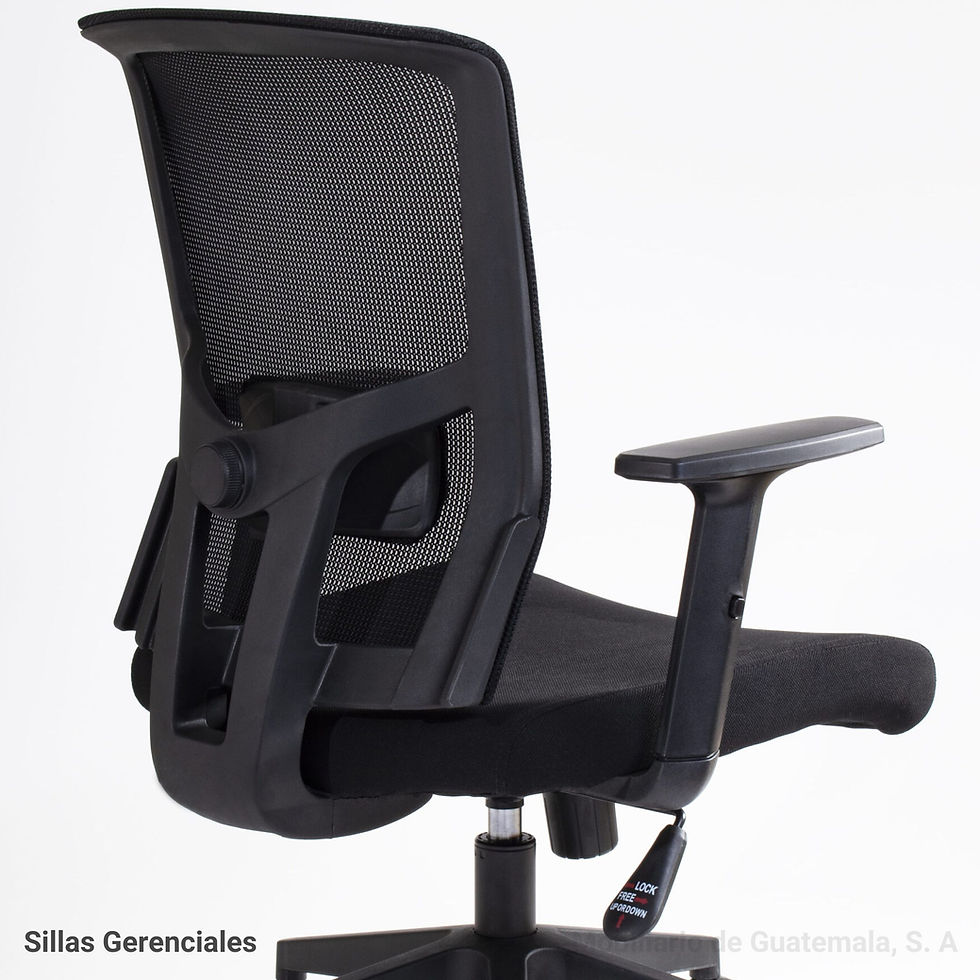 Miniatura: Silla Habana