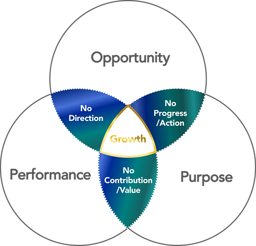 3x Growth Framework