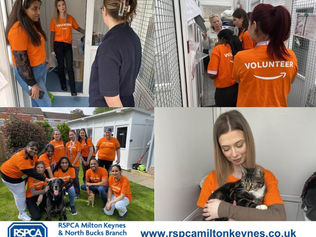 Corporate Volunteers - making the world a better place.