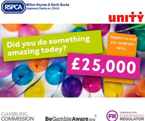 Supporting the Branch through a Lottery? It's a win win for everyone!