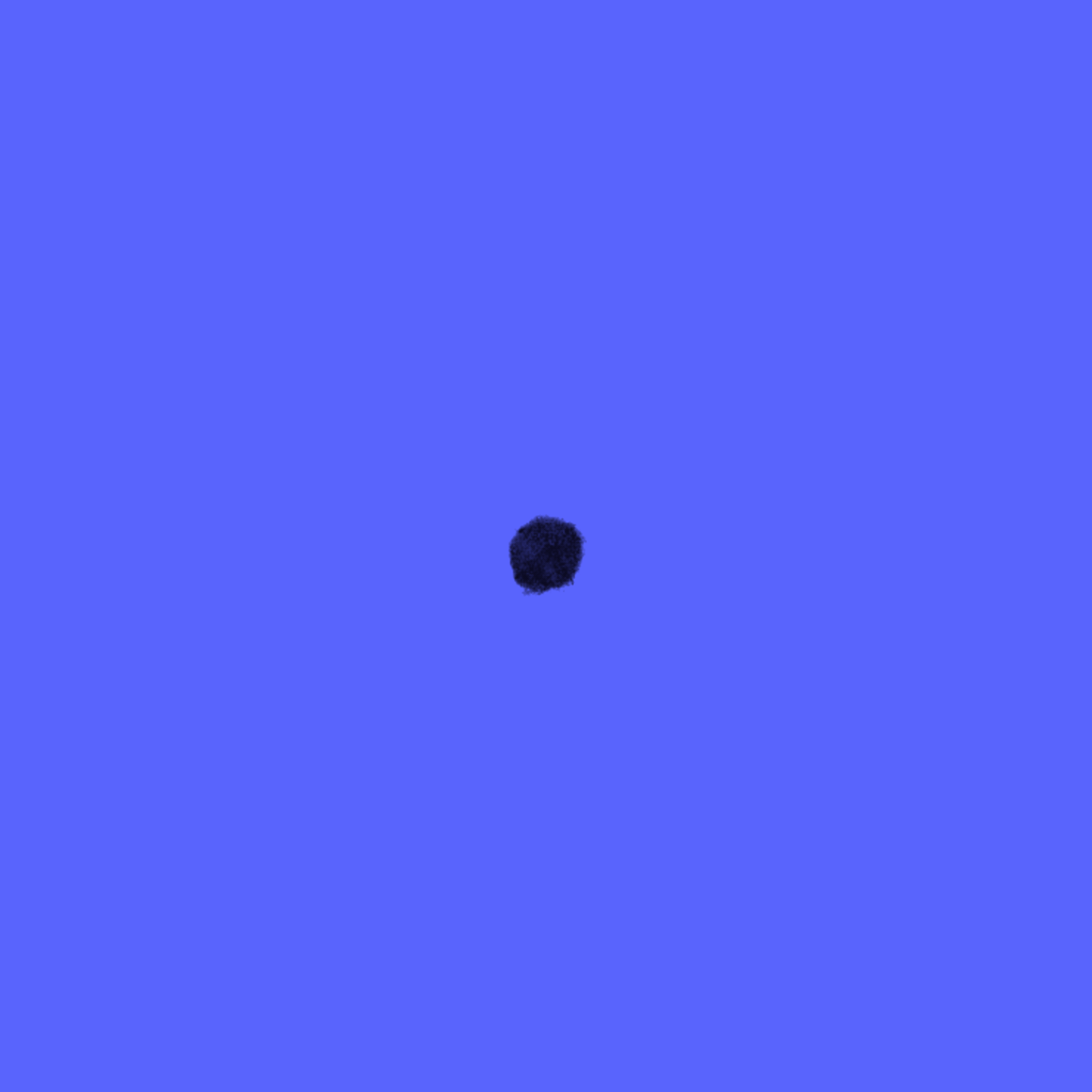 image1 (2).gif