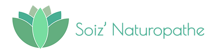LOGO EN LONGUEUR.png