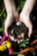 Social Responsibility & Sustainability by Food For Thought