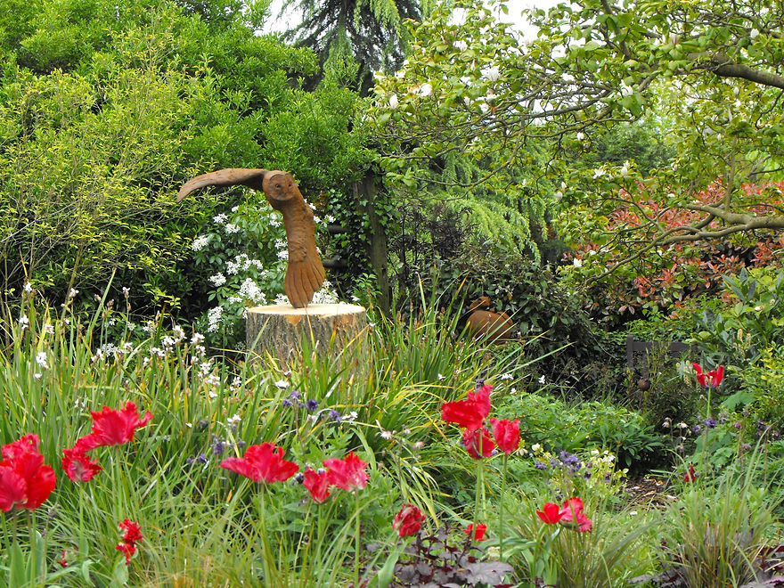 DSCF0645.JPG