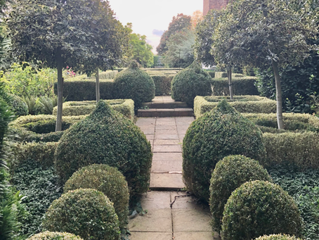Problems with Symmetry ⚖️