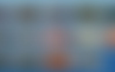 The different varieties of tiles