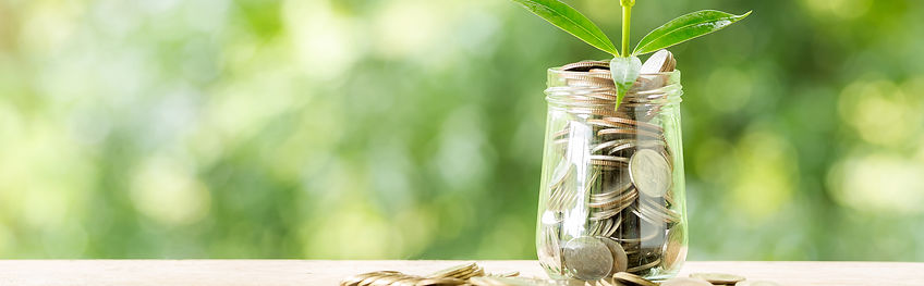 inversiones rentables y seguras_edited.j