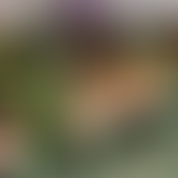 Ninh Binh Nature Stays