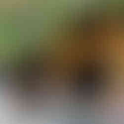 Best Places to Visit in Vietnam