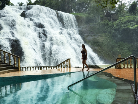 Pilgrims Dream Eco Farm