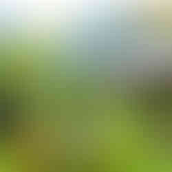 Ninh Binh Nature Stays