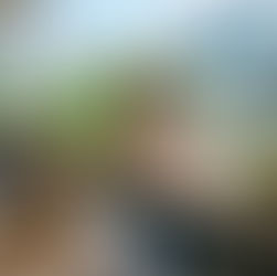 Pet-Friendly Restaurants in BGC