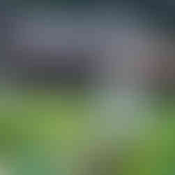 Ninh Binh Nature Stays