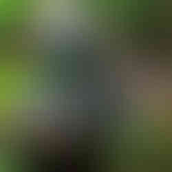 Ninh Binh Nature Stays