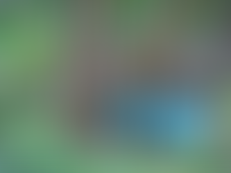 How to Find Ughuban Spring, Bohol