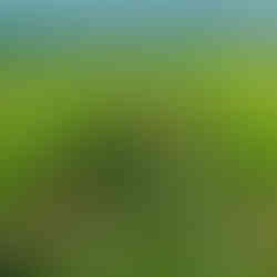 Ninh Binh Nature Stays