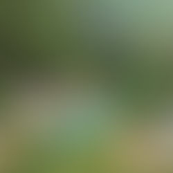 Ninh Binh Nature Stays