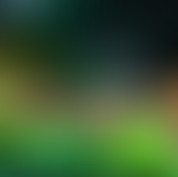 Ninh Binh Nature Stays