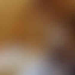 Ninh Binh Nature Stays