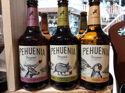 Sidra PEHUENIA "Patagonia