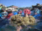 GaioLab Snorkeling